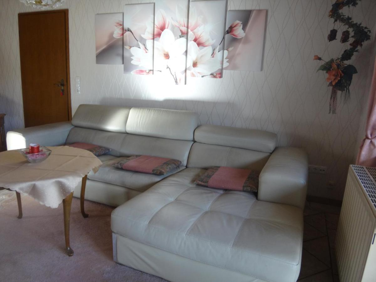 Apartament Haus Eifelinchen Schleiden Zewnętrze zdjęcie