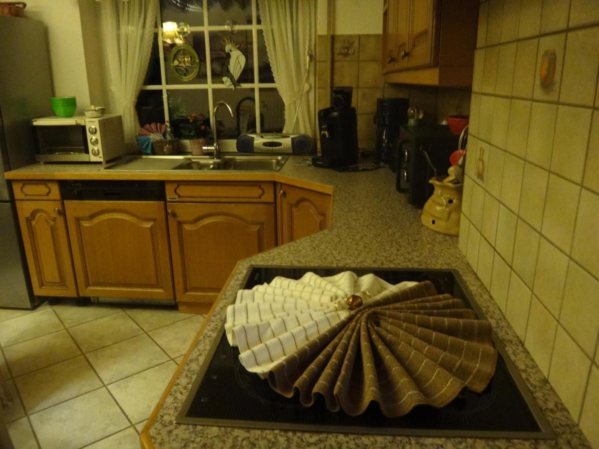 Apartament Haus Eifelinchen Schleiden Zewnętrze zdjęcie